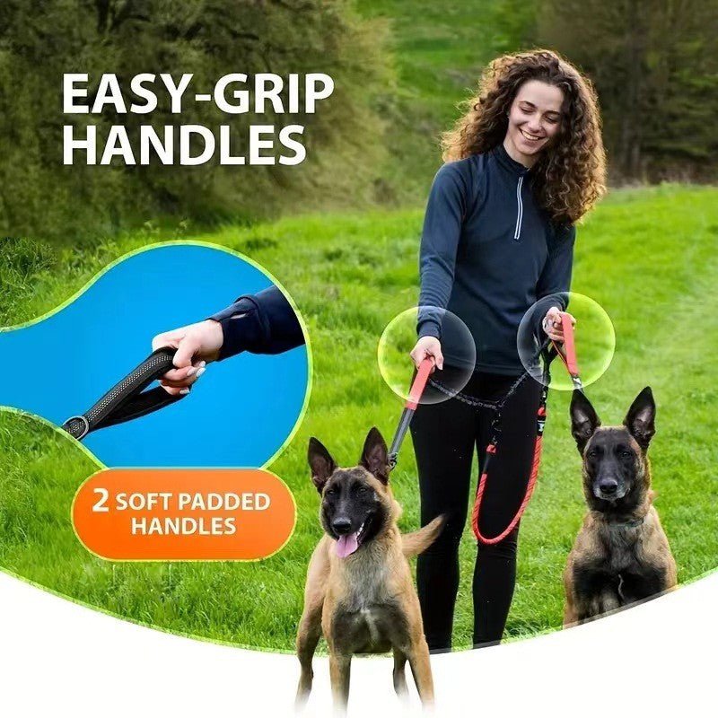 Laisse pour chien - Double rallonge anti - choc - Le Chihuahua Voyageur
