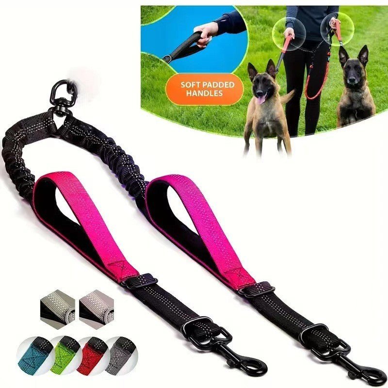 Laisse pour chien - Double rallonge anti - choc - Le Chihuahua Voyageur
