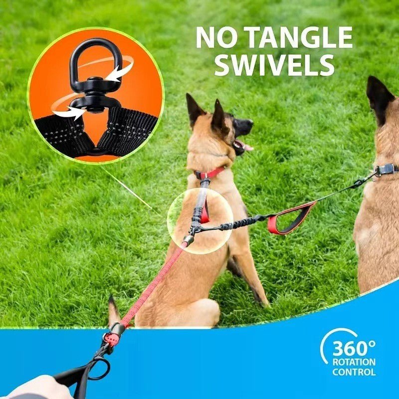 Laisse pour chien - Double rallonge anti - choc - Le Chihuahua Voyageur