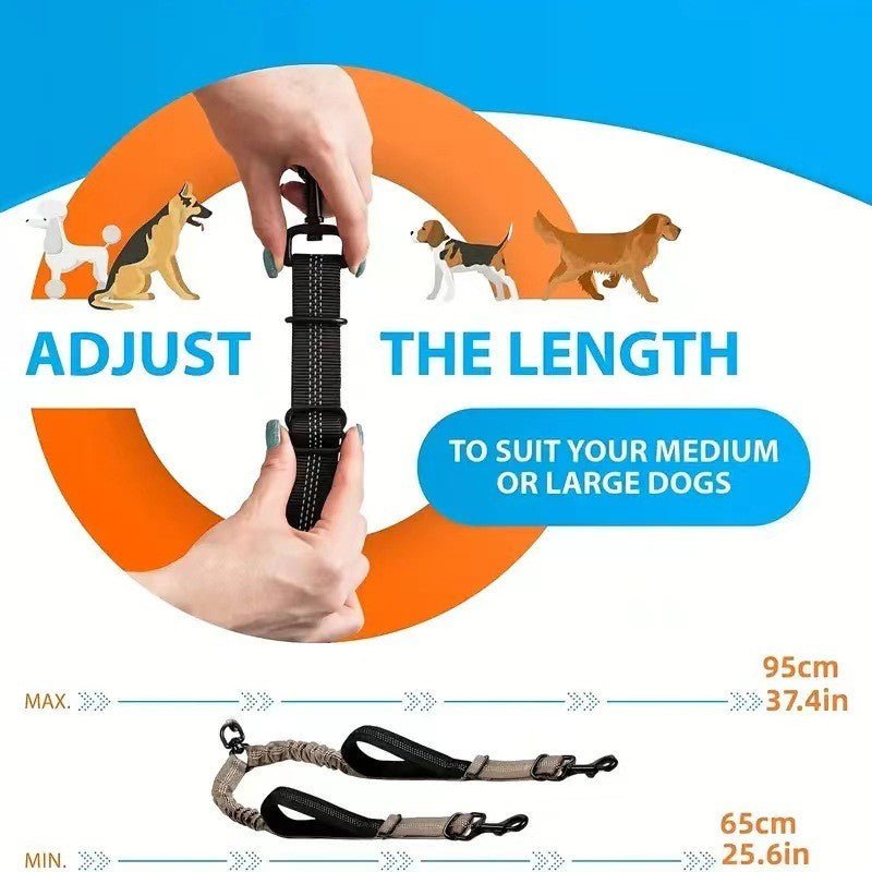 Laisse pour chien - Double rallonge anti - choc - Le Chihuahua Voyageur