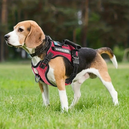 Laisse pour chien - Ensemble Service Dog - Le Chihuahua Voyageur