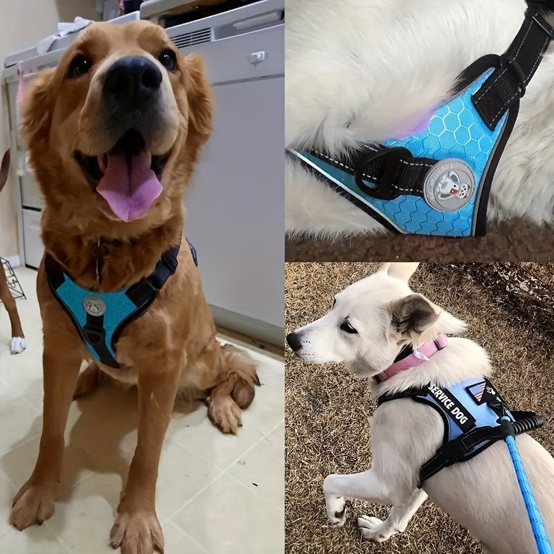 Laisse pour chien - Ensemble Service Dog - Le Chihuahua Voyageur