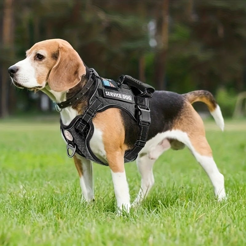 Laisse pour chien - Ensemble Service Dog - Le Chihuahua Voyageur
