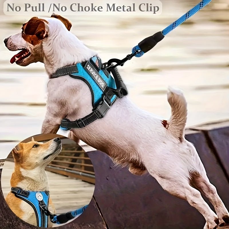 Laisse pour chien - Ensemble Service Dog - Le Chihuahua Voyageur