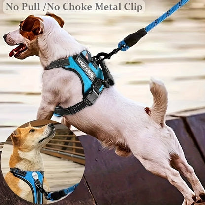 Laisse pour chien - Ensemble Service Dog - Le Chihuahua Voyageur