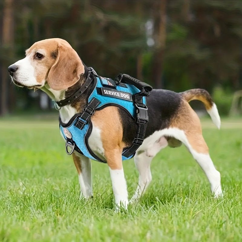 Laisse pour chien - Ensemble Service Dog - Le Chihuahua Voyageur