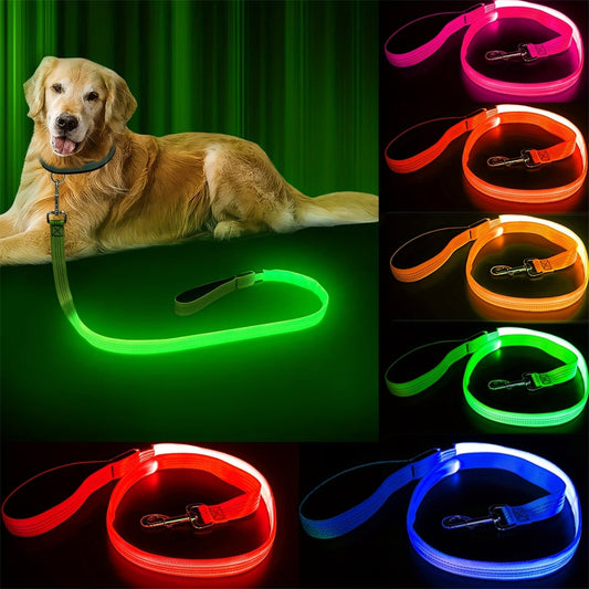 Laisse pour chien Glow Visible - Le Chihuahua Voyageur