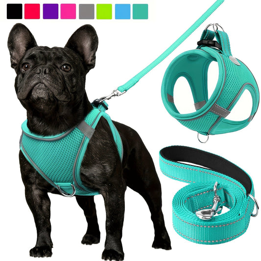 Laisse pour chien - Joytale Reflective Laisse - Harnais - Le Chihuahua Voyageur