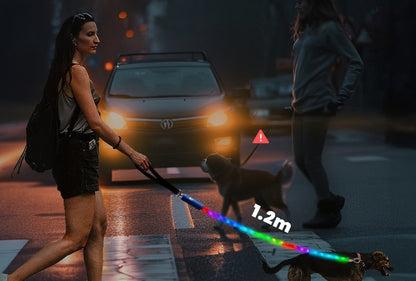 laisse-pour-chien-nightsafe 2