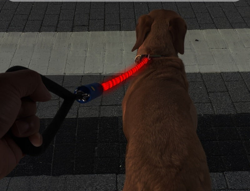 laisse-pour-chien-nightsafe 3