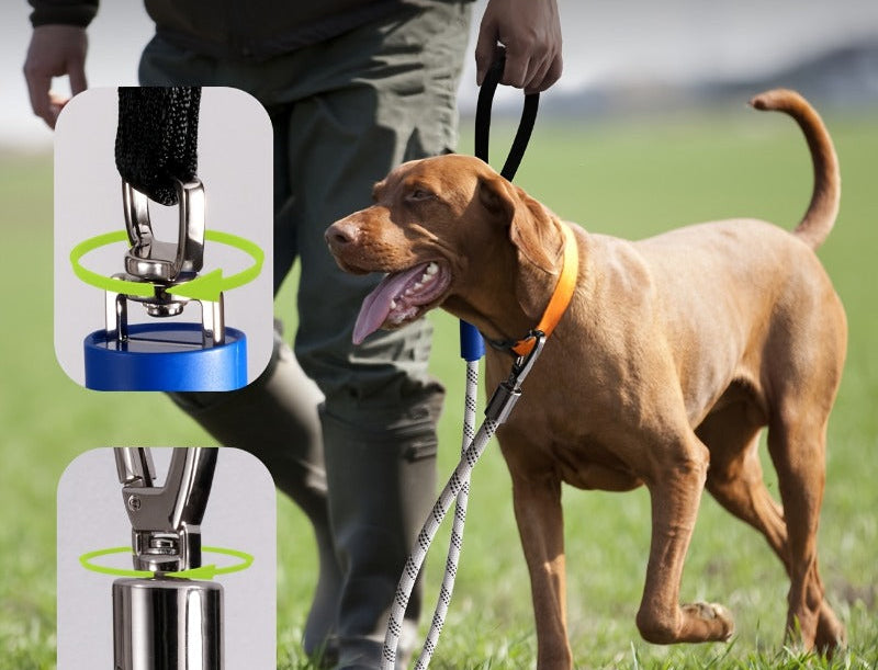 laisse-pour-chien-nightsafe 5