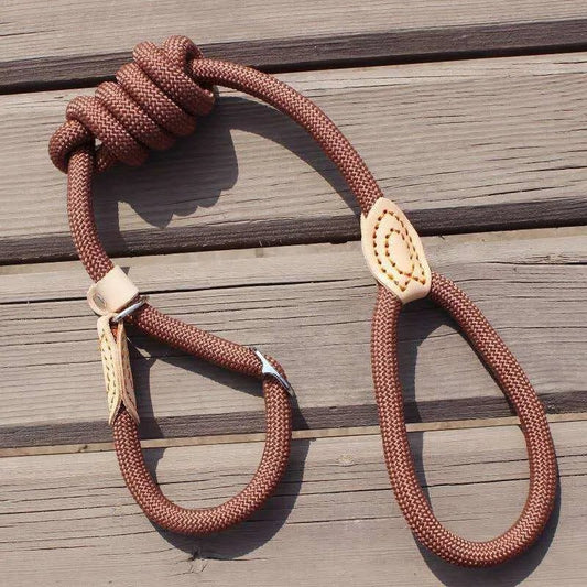 Laisse pour chien - P Chain Dog Leash Slip Collar - Le Chihuahua Voyageur