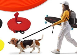 Longe pour chien- robuste PVC