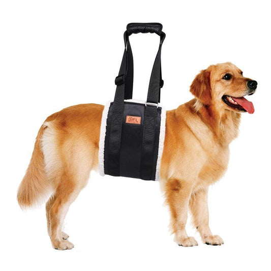 Le harnais pour chien - Aide portable - Le Chihuahua Voyageur