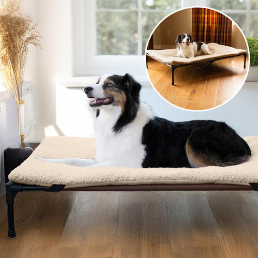 Lit pour chien surélevé