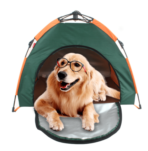 Lit pour chien - Tente Semi - automatique - Le Chihuahua Voyageur