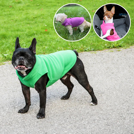 mantean-pour-chien-couleur