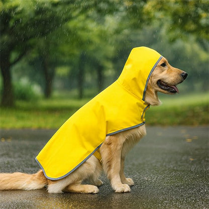 Manteau chien