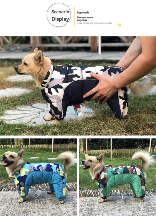 manteau pour chien camouflage