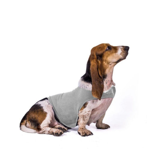 Manteau pour chien - Chandail apaisant - Le Chihuahua Voyageur