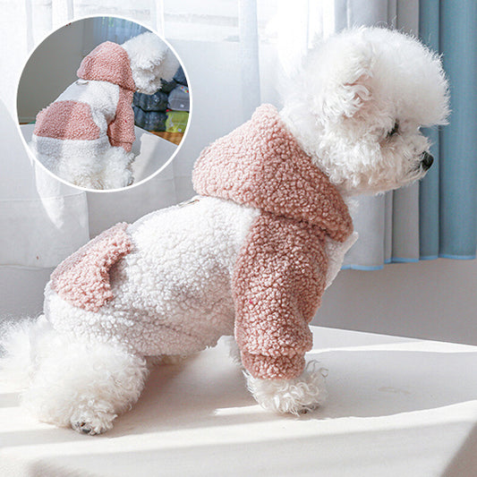 Manteau pour chien- Capi- berbère