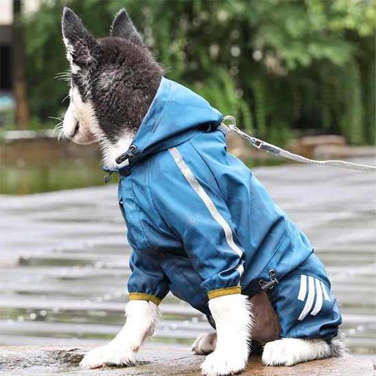 Manteau pour chien