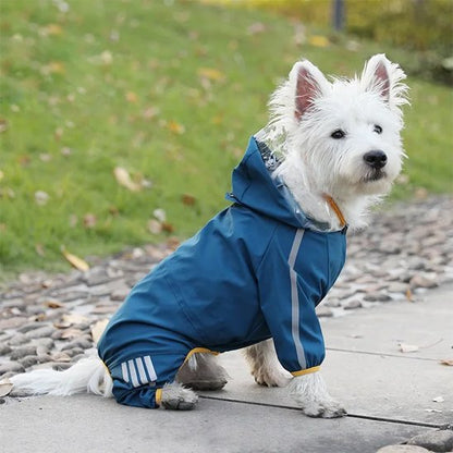 Manteau pour chien