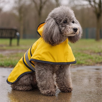 Manteau pour chien