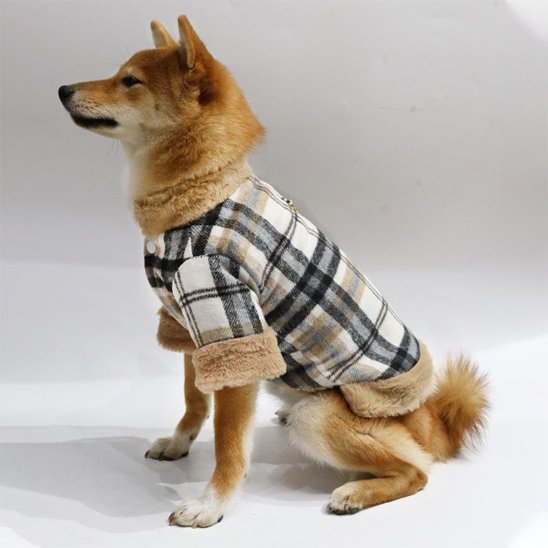 Manteau pour chien 