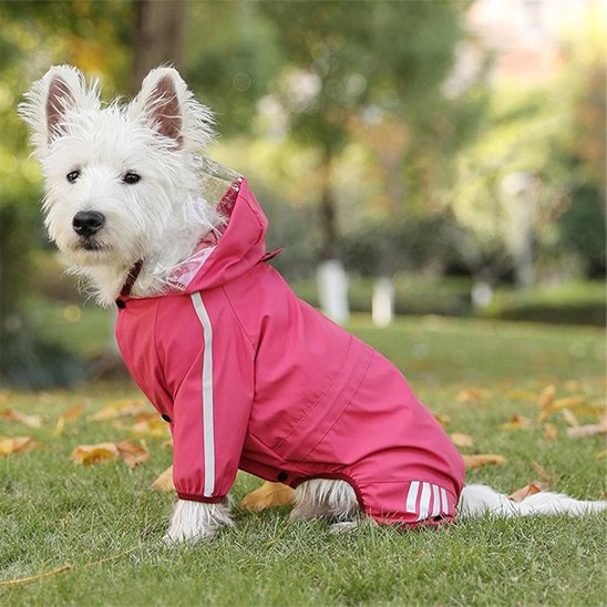 Manteau pour chien
