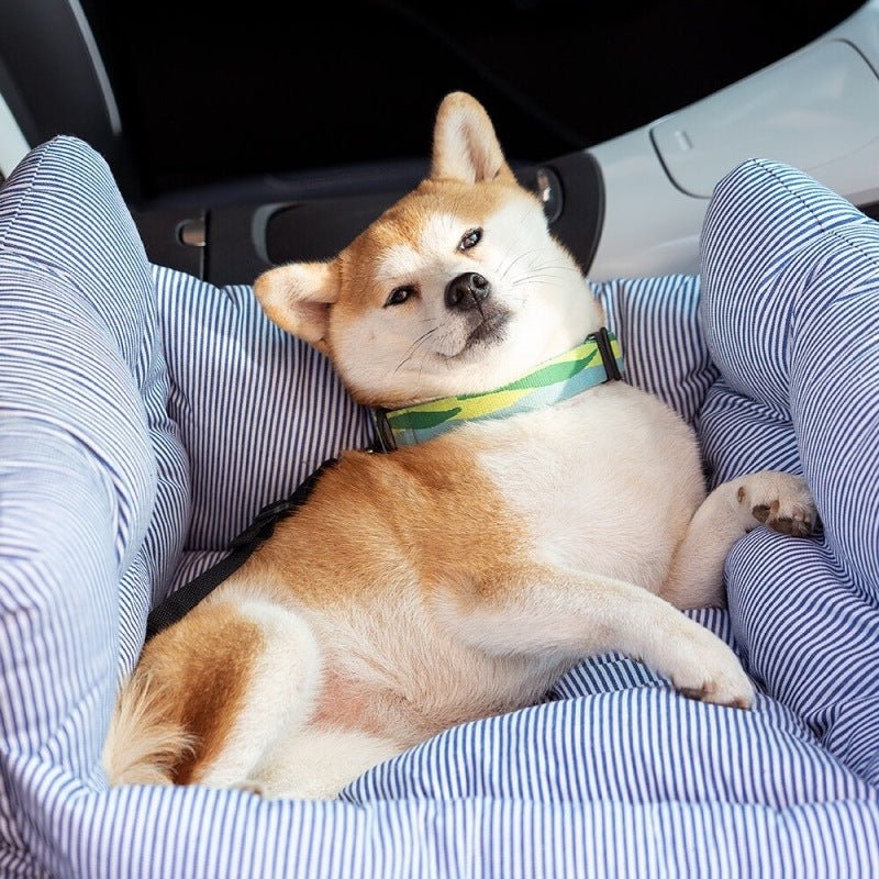 Niche pour chien - Chenil portable - Le Chihuahua Voyageur