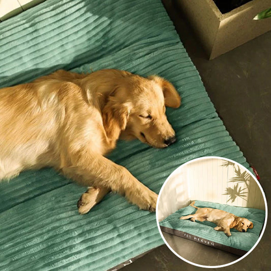 Panier chien- Coussin PET HEAVEN