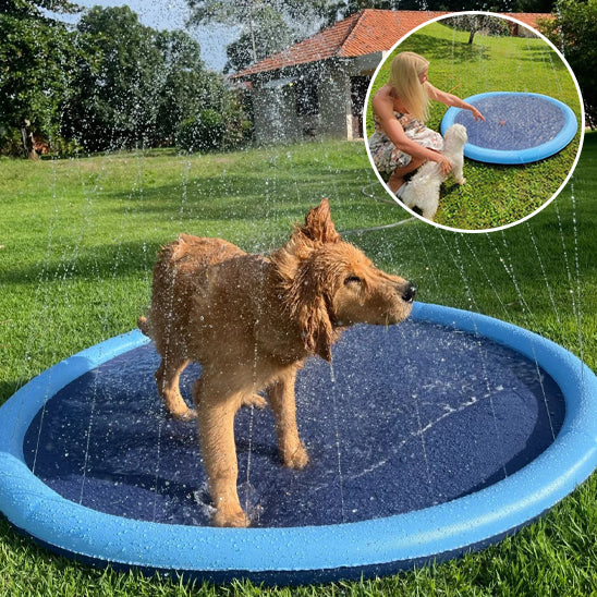 piscine-pour-chien-amusante