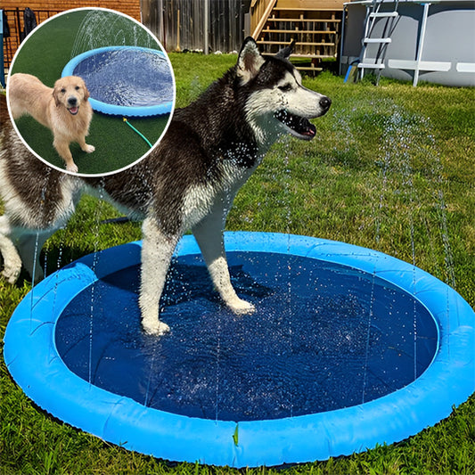 piscine-pour-chien-arrosage