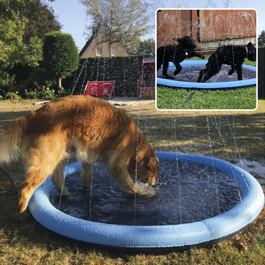 piscine-pour-chien-bleu