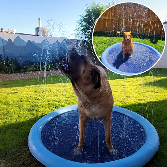 piscine-pour-chien-jets
