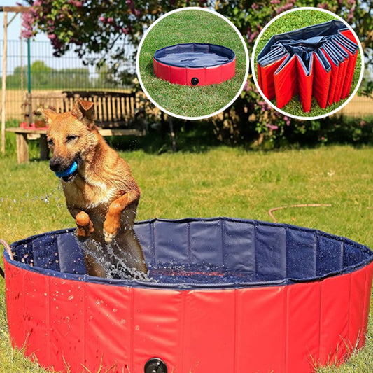 piscine-pour-chien-portable