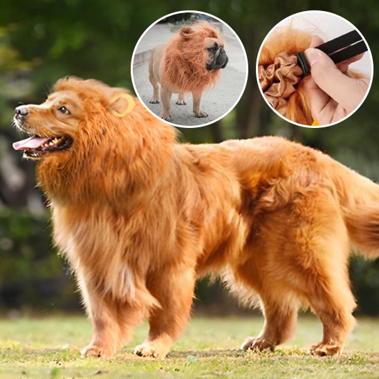 Déguisement chien | Original Festif