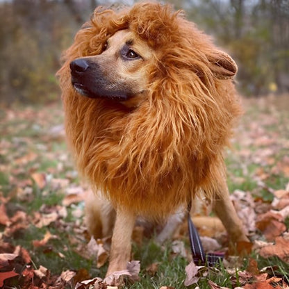 Déguisement chien | Original Festif