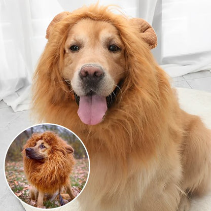 Déguisement chien | Original Festif