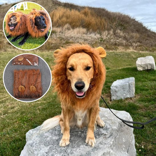 Déguisement chien | Original Festif