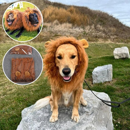 Déguisement chien | Original Festif