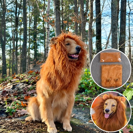 Déguisement chien | Original Festif