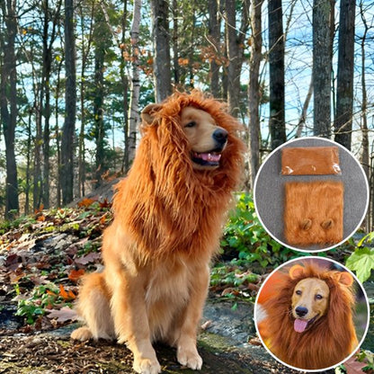 Déguisement chien | Original Festif