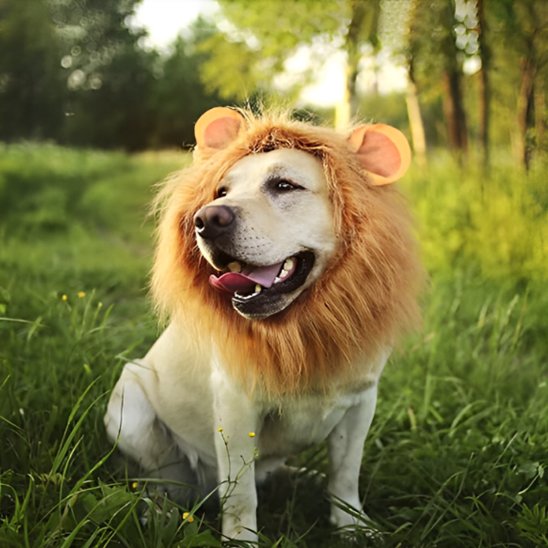 Déguisement chien | Original Festif