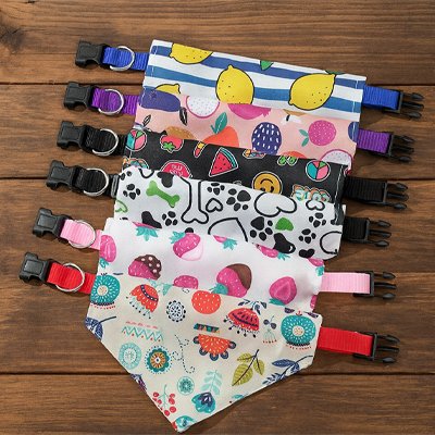 Bandana Chien | FashionCanin