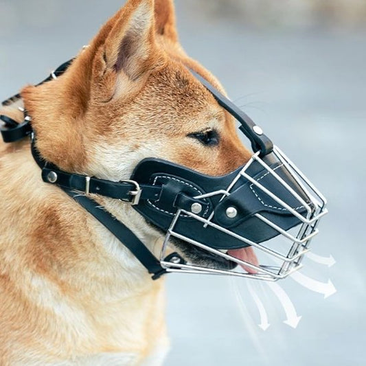 Muselière pour chien | ComfortBreath