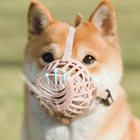 Muselière pour chien | ErgoShiba