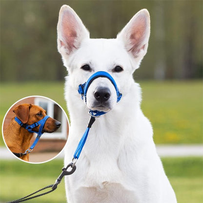 Muselière Confort pour Chien | PawSafe