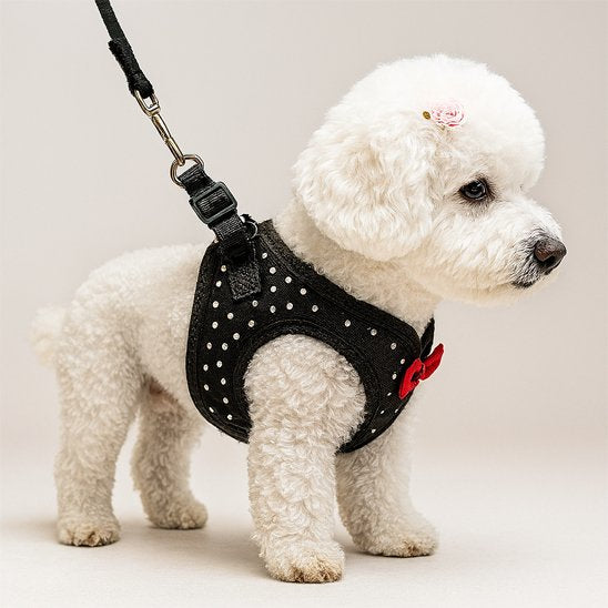 Harnais petit chien | Comfort Plus